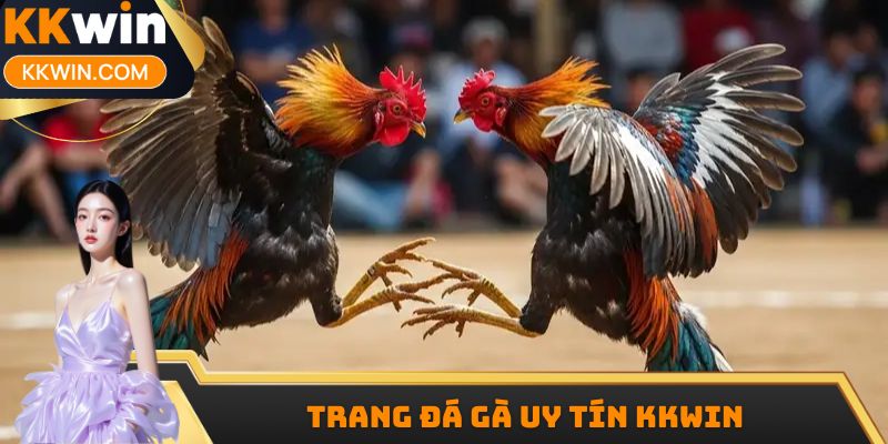 Trang Đá Gà Uy Tín KKWIN - Những Cái Tên Nên Tham Gia